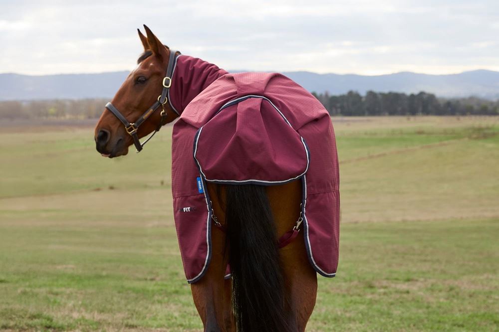 Weatherbeeta Comfitec Prelim Turnout Combo - 220g (Burgundy/Navy)
