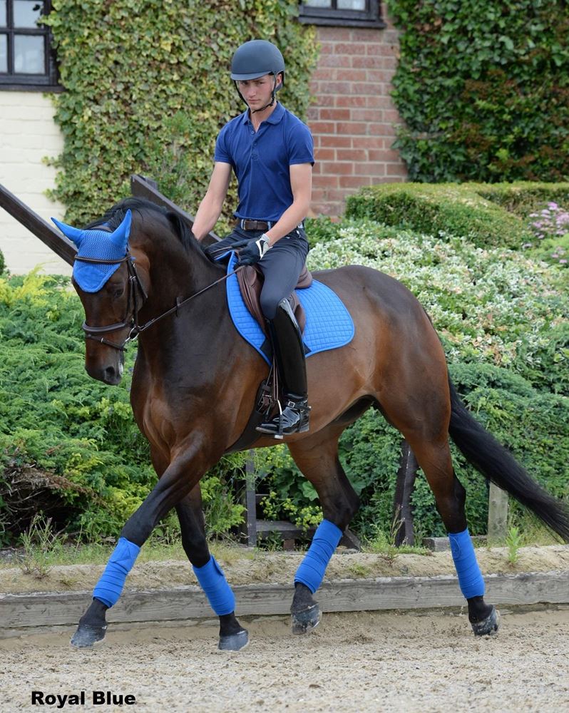 Weatherbeeta Prime Jump Saddle Pad