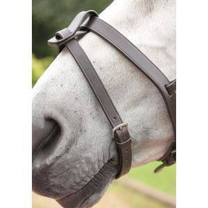 Shires Blenheim Flash Strap
