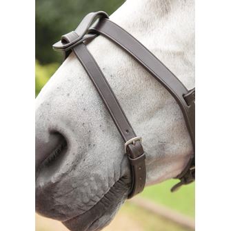 Shires Velociti GARA (Blenheim) Flash Strap