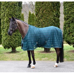 Rhinegold Sweat Sheet (Forest Green)