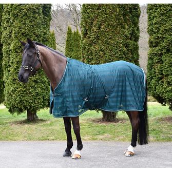 Rhinegold Sweat Sheet (Forest Green)