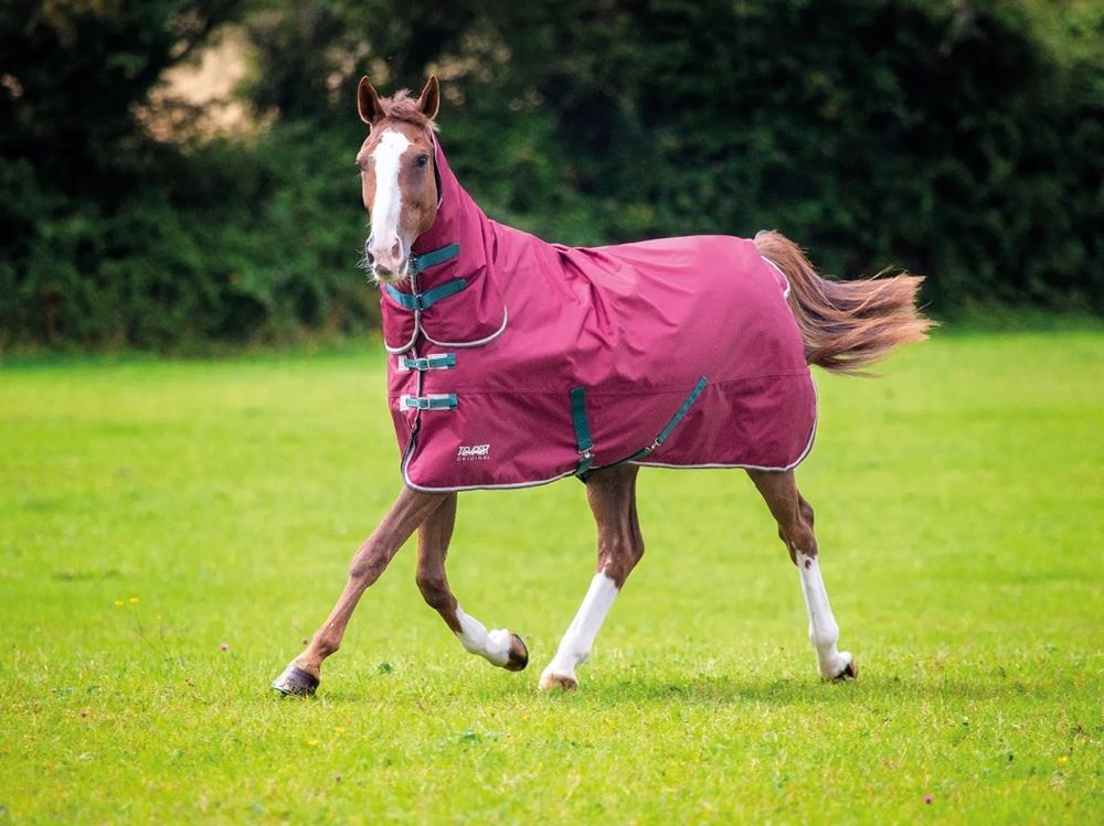 Shires Tempest Original 200 Combo Turnout Rug (Maroon)