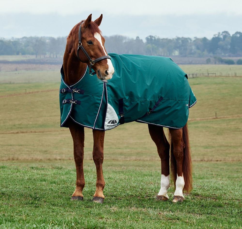 Weatherbeeta Comfitec Plus Dynamic Turnout High Neck - 220g (Forest Green/Navy)