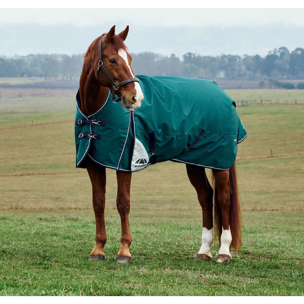 Weatherbeeta Comfitec Plus Dynamic Turnout High Neck - 220g (Forest Green/Navy)