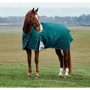 Weatherbeeta Comfitec Plus Dynamic Turnout High Neck - 220g (Forest Green/Navy)