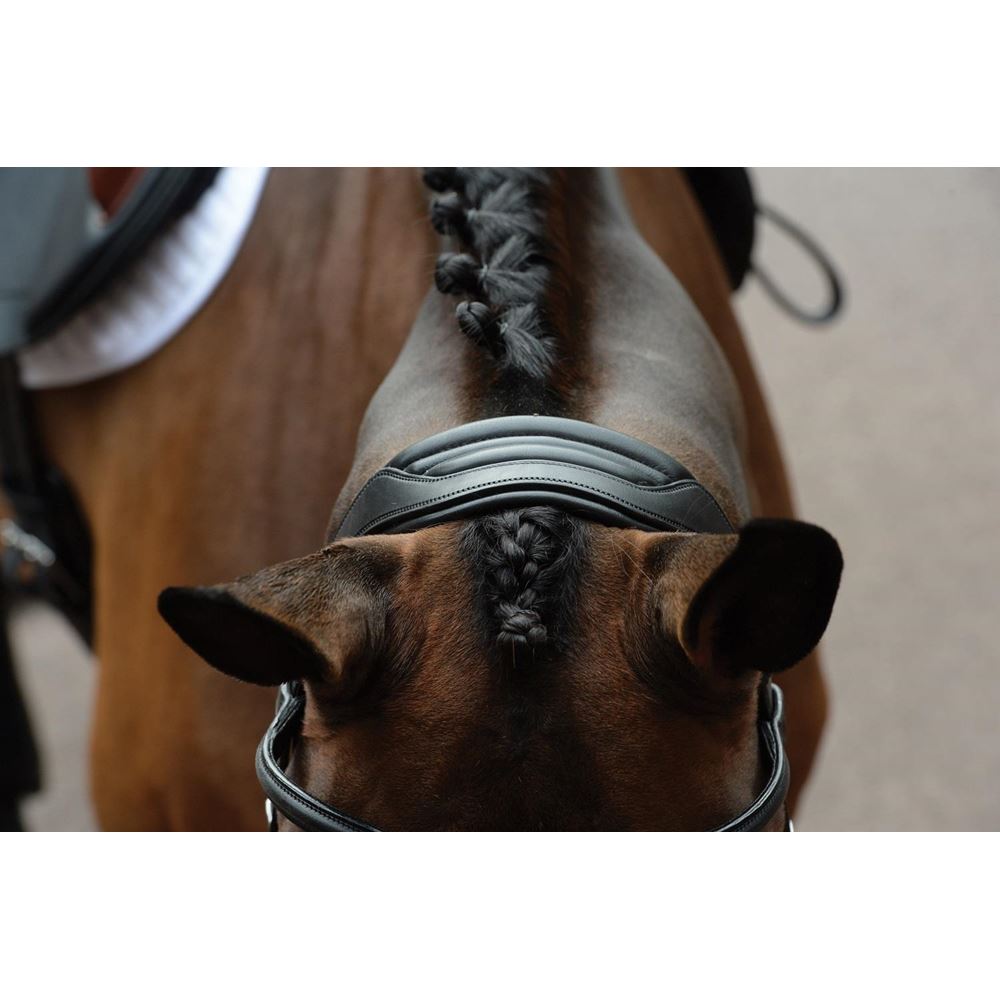 Collegiate Comfitec Vogue Anatomical Bridle