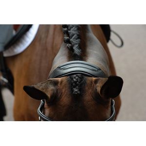 Collegiate Comfitec Vogue Anatomical Bridle