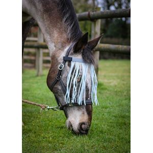 Gallop Fly Fringe
