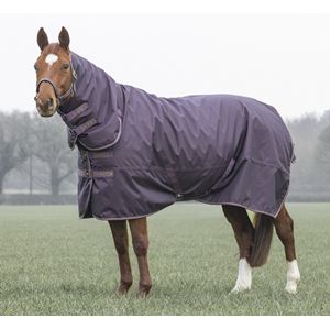 Shires Typhoon 100 Combo Turnout Rug (Black Cherry)