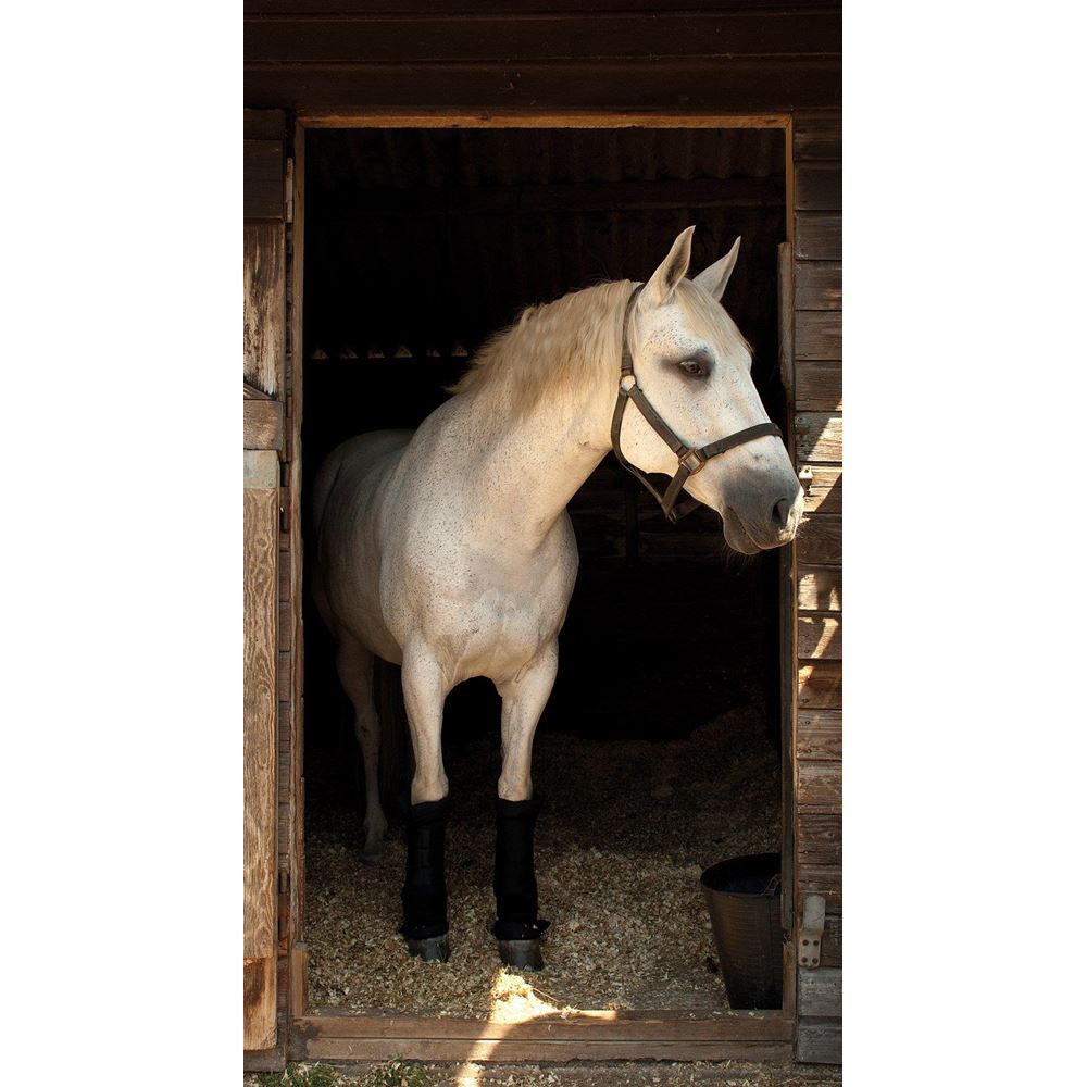 Rhinegold Stable Medicine Boots