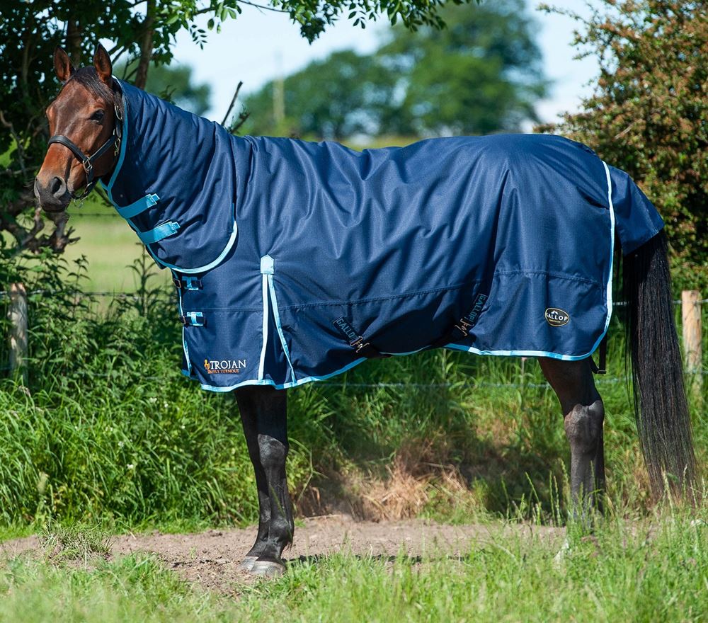 Gallop Trojan 350 Combo Turnout (Navy/Sky)
