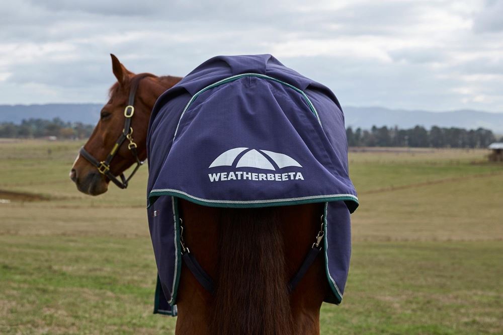 Weatherbeeta Comfitec Plus Dynamic Turnout Standard - 100g (Navy/Forest Green)