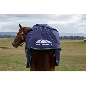 Weatherbeeta Comfitec Plus Dynamic Turnout Standard - 100g (Navy/Forest Green)