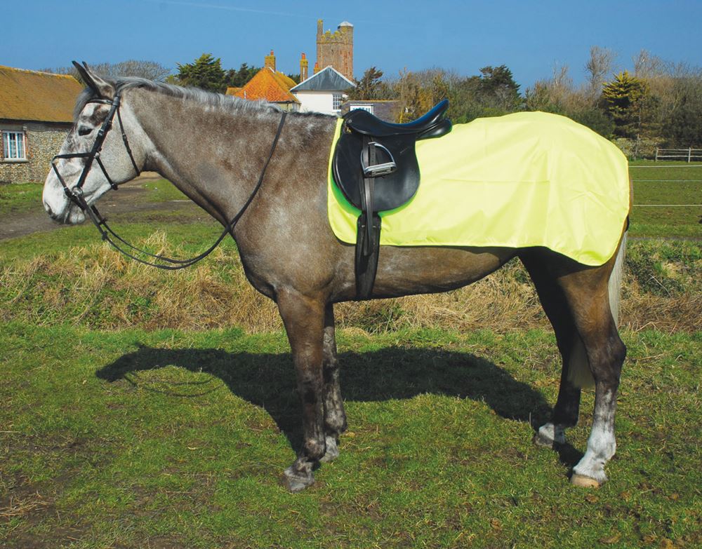 Rhinegold 3/4 Waterproof Ride-On Rug