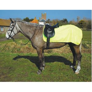 Rhinegold 3/4 Waterproof Ride-On Rug