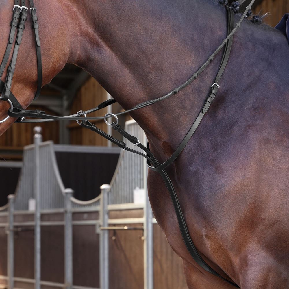 Shires Velociti LUSSO Elite Running Martingale (Black)