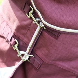 Shires Highlander Plus 100 Turnout Rug (Maroon)