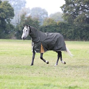 Shires Highlander Plus 50 Combo Turnout Rug (Green)