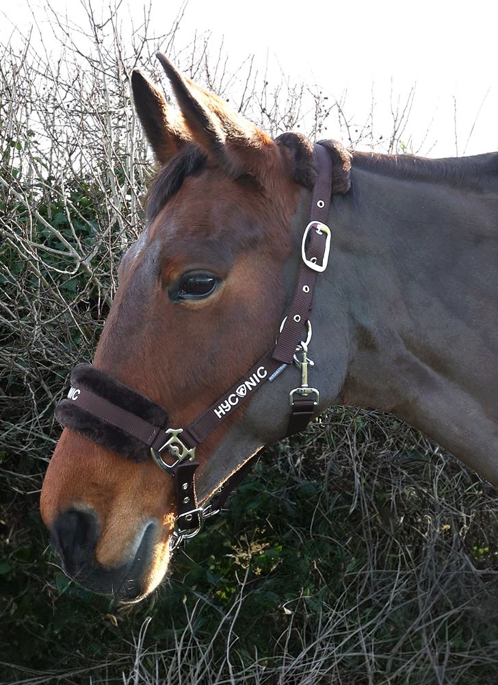 HYCONIC by Hy Equestrian Faux Fur Head Collar & Lead Rope (Brown)