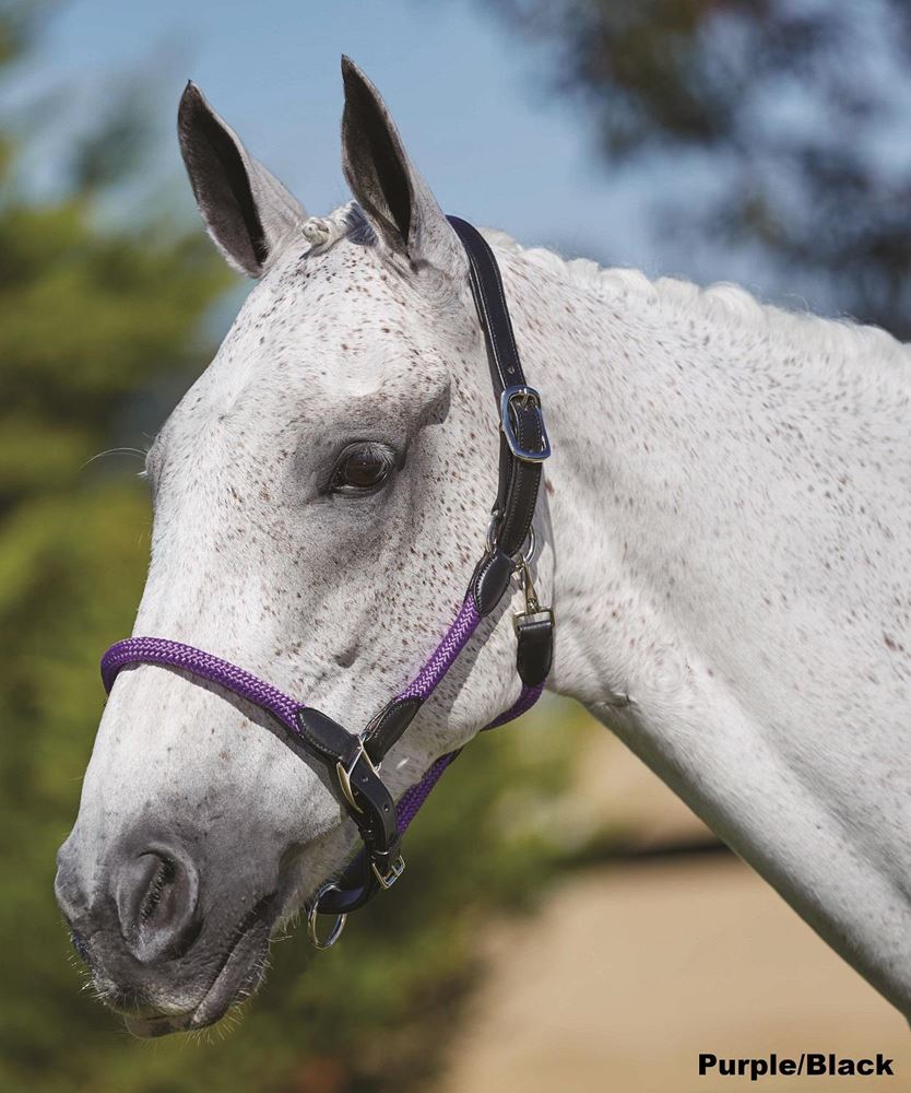 Kincade Leather Rope Headcollar
