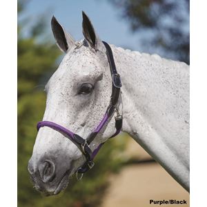 Kincade Leather Rope Headcollar