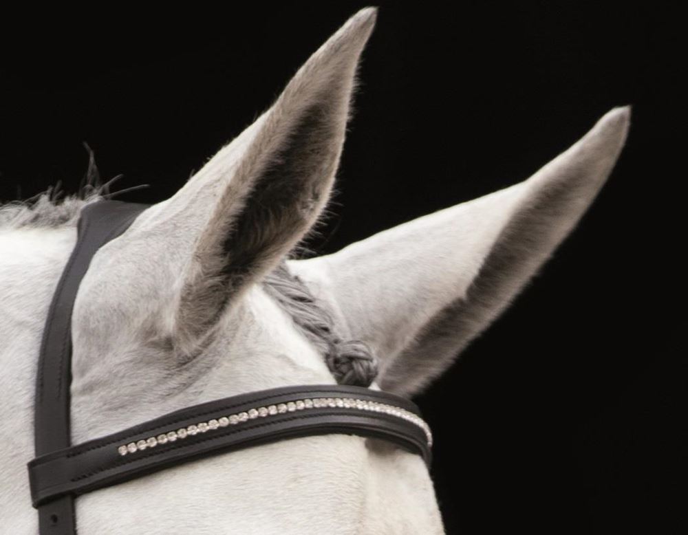 Rambo Micklem Diamante Competition Bridle Bridle Sedgwick English Leather (No reins)