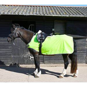 Rhinegold Fixed Chest Waterproof Ride-On Rug (Yellow)