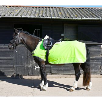 Rhinegold Fixed Chest Waterproof Ride-On Rug (Yellow)