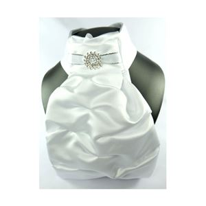 ShowQuest Regency V Stock