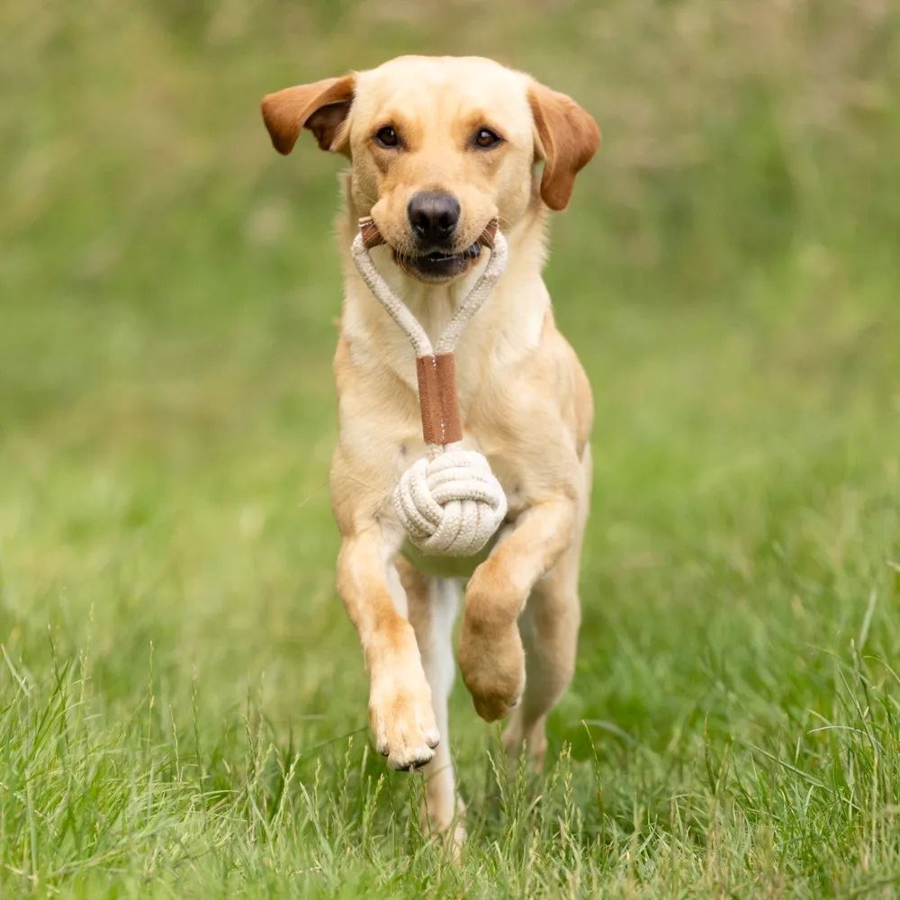 Benji & Flo Tug 'n' Play Toys - Rope Ball