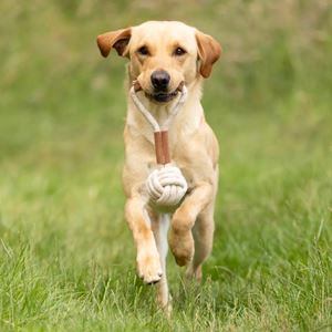 Benji & Flo Tug 'n' Play Toys - Rope Ball