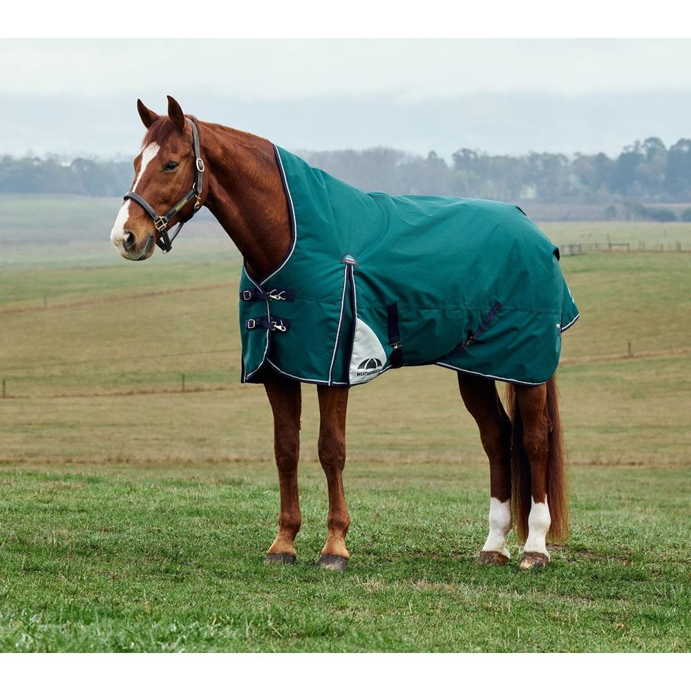 Weatherbeeta Comfitec Plus Dynamic Turnout High Neck - 100g (Forest Green/Navy)