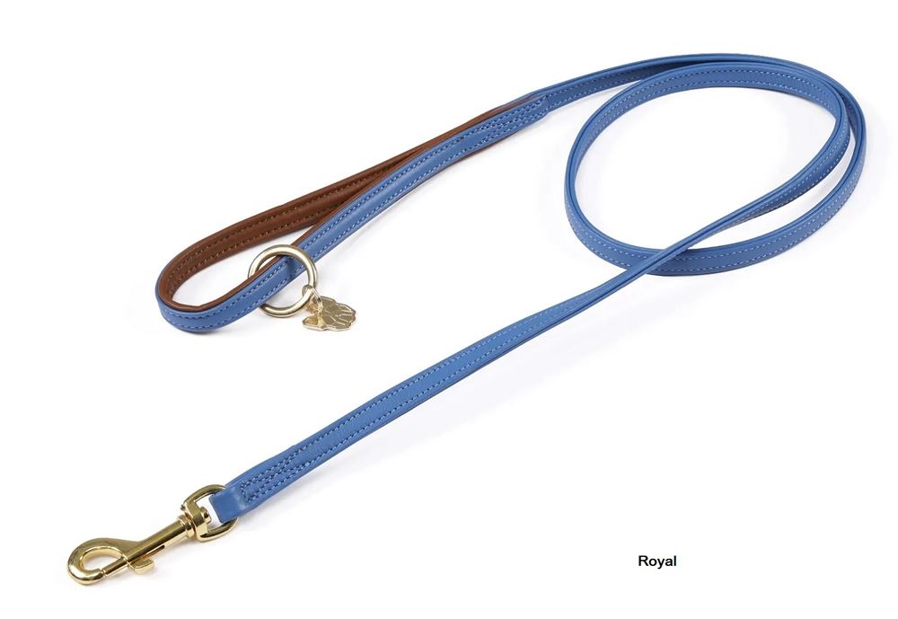 Shires Digby & Fox Padded Leather Dog Lead (110cm x 1.5cm)