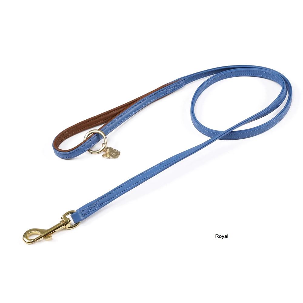 Shires Digby & Fox Padded Leather Dog Lead (110cm x 1.5cm)
