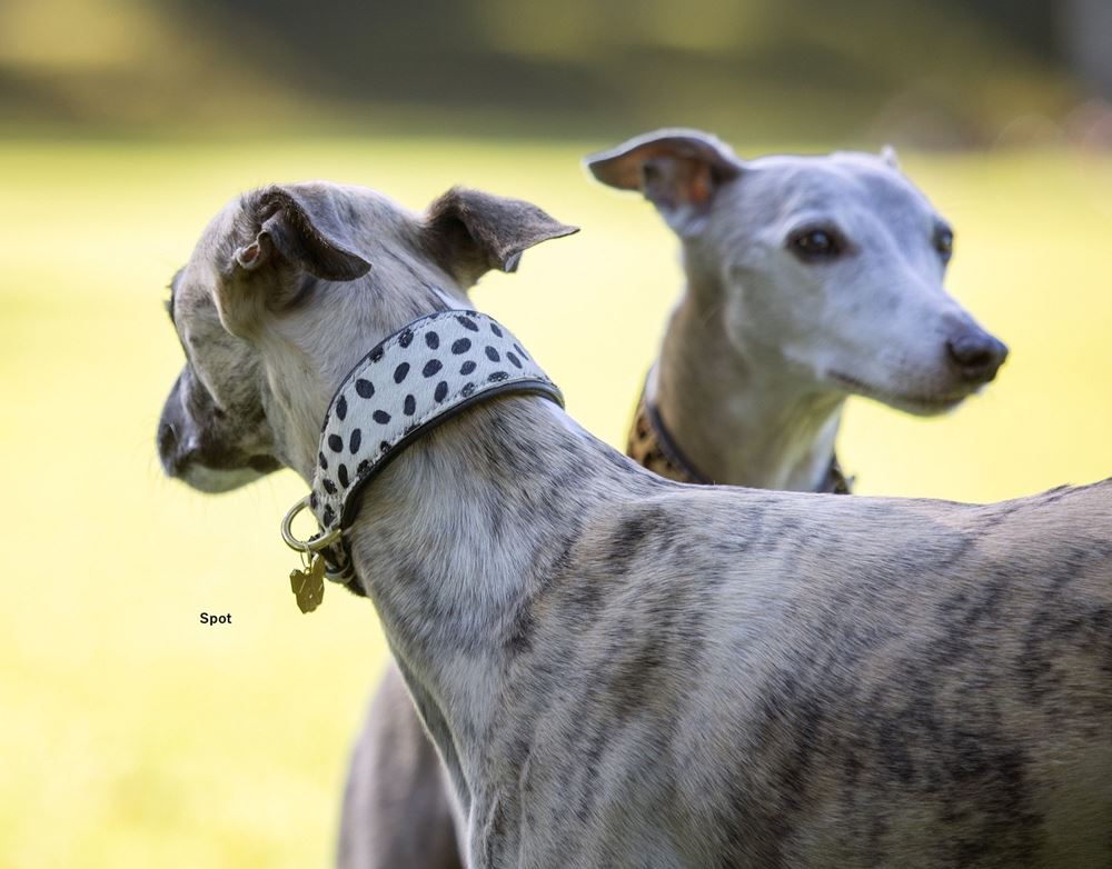 Shires Digby & Fox Cow Hair Greyhound Collar (XS - S)