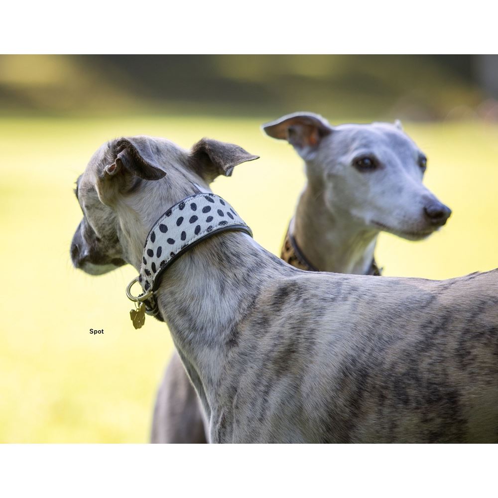 Shires Digby & Fox Cow Hair Greyhound Collar (XS - S)