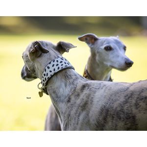 Shires Digby & Fox Cow Hair Greyhound Collar (XS - S)
