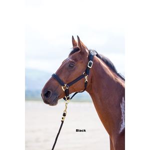 Shires Topaz Nylon Headcollar