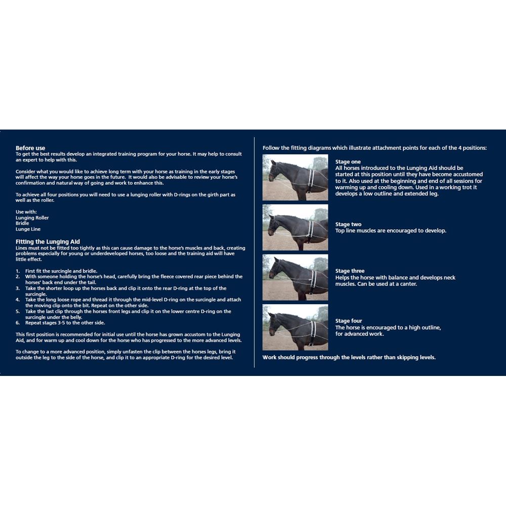 Shires Lunging Aid (Pessoa Style Training Aid)