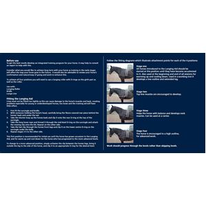 Shires Lunging Aid (Pessoa Style Training Aid)