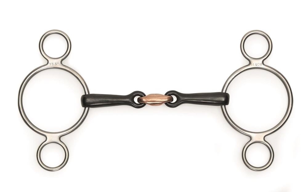 Shires Two Ring Sweet Iron Gag