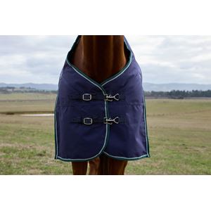 Weatherbeeta Comfitec Plus Dynamic Turnout Standard - 220g (Navy/Forest Green)
