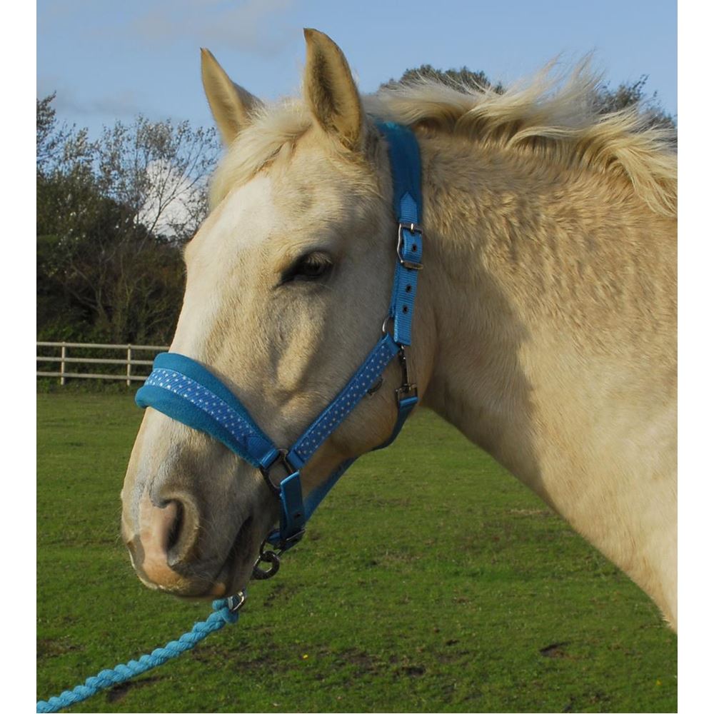 Rhinegold Star Spangled Headcollar & Rope Set (Turquoise)