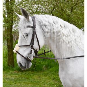 Rhinegold Luxe Anatomical Leather Mexican Bridle