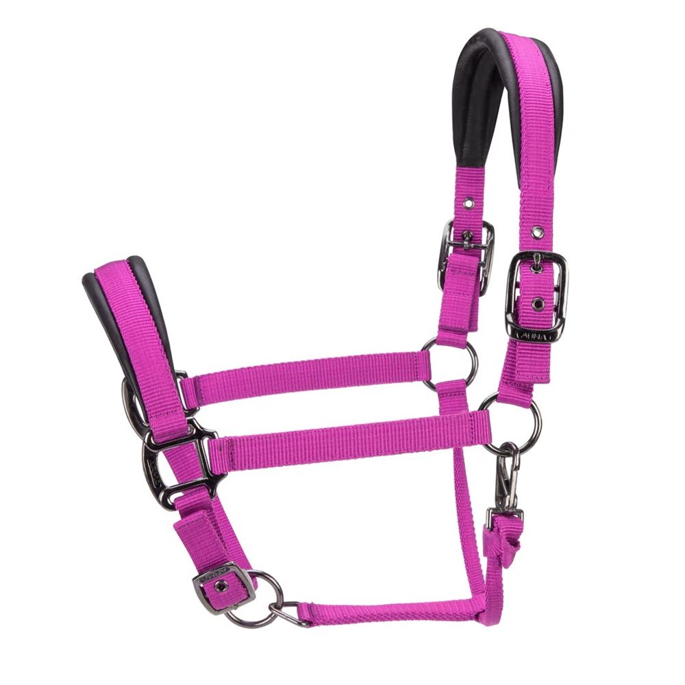 Shires ARMA Pro Padded Headcollar (Raspberry)