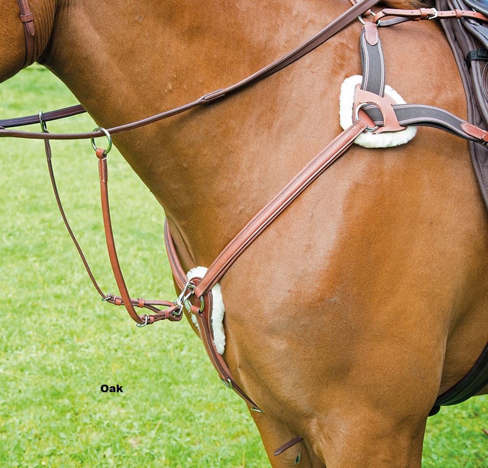 Shires Avignon 5 Point Breastplate