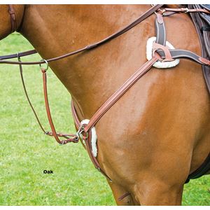 Shires Avignon 5 Point Breastplate