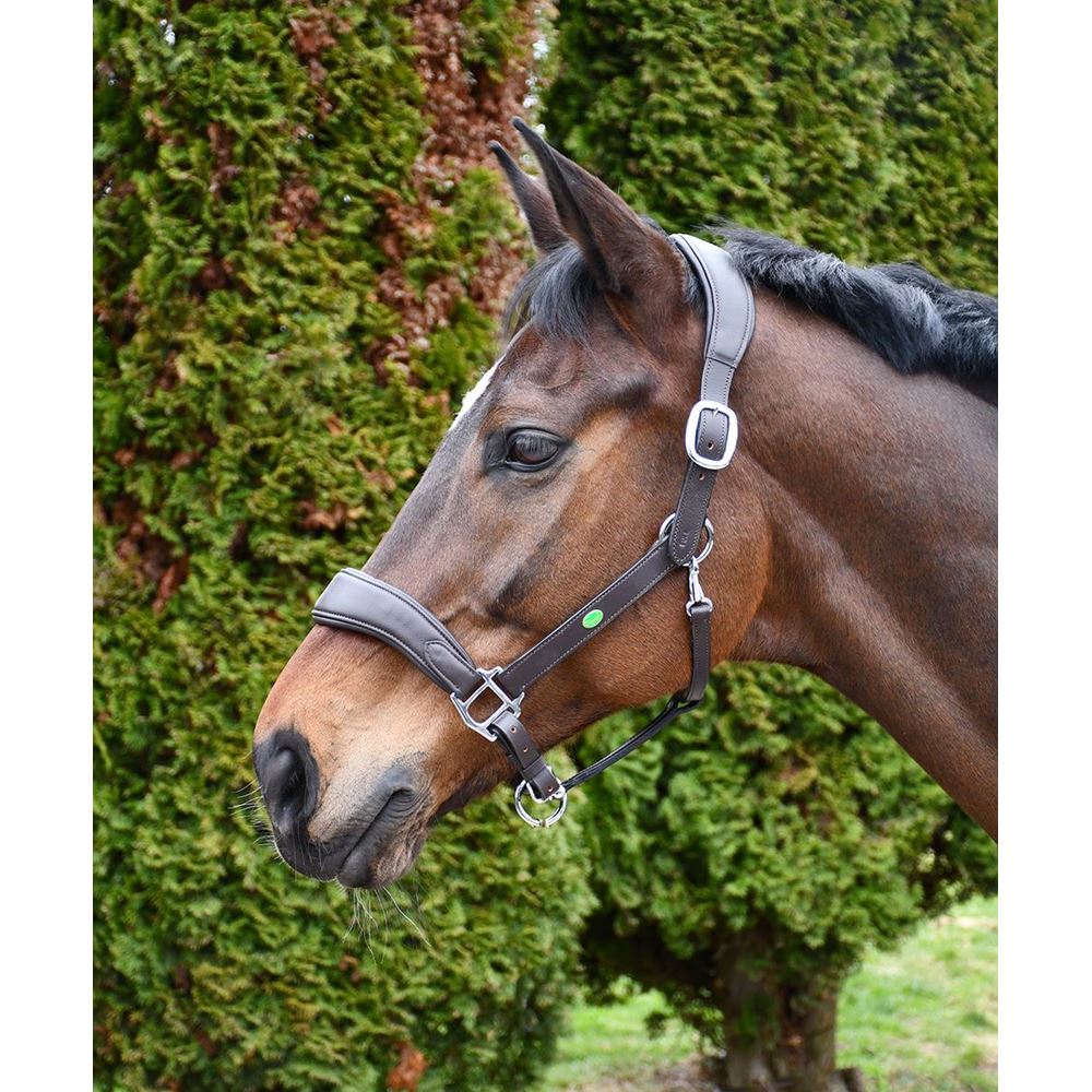 Rhinegold Softee Pro-Anatomical Leather Headcollar (Havana)