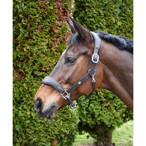 Rhinegold Softee Pro-Anatomical Leather Headcollar (Havana)